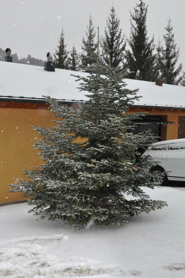 הוילה לה מולינה Casa En La Molina מראה חיצוני תמונה